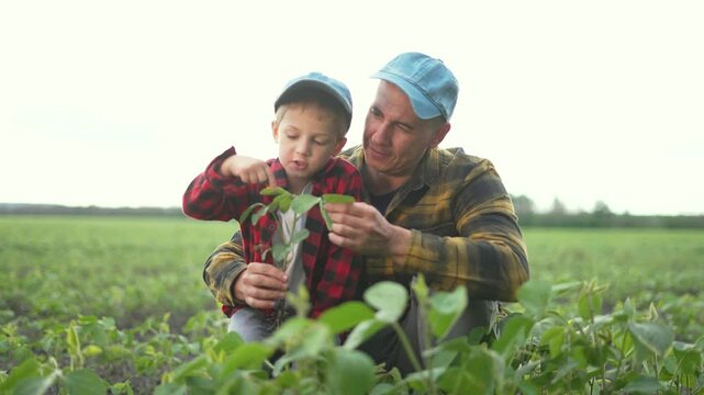 Father young son soya field. Family bonding over agriculture. Teaching child about soya farming. Young boy learning farming techniques. Family teamwork in soya field. Young generation in agriculture.