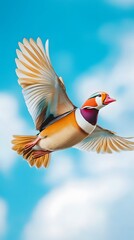 Fototapeta premium Mandarin Duck Bird Flying Under Blue Sky, Photo Realistic, Wallpaper, Cover and Screen for Smartphone, PC, Laptop, 9:16 and 16:9 Format