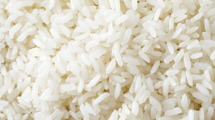 Macro Photography of White Rice Grains, White, Close-up, Grain