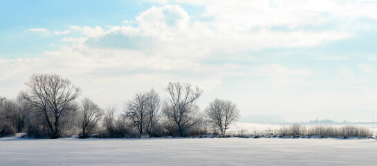 bare trees on the bank of a river covered with ice and snow in sunny weather