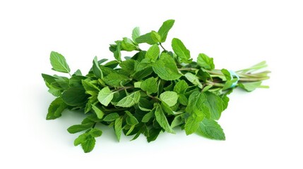 Obraz premium Fresh green mint leaves isolated on white background.