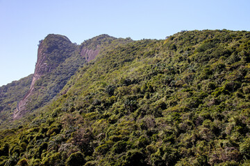a piece of the atlantic forest next to the Two Hill Brother seen in Sao Conrado in Rio de Janeiro.