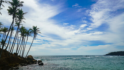 Coconut tree hill in Mirissa, Sri Lanka