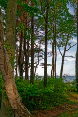 Sea landscape - view of the Baltic Sea