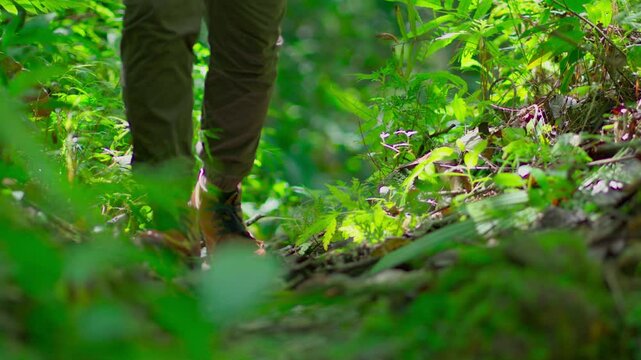 A man exploring Indonesia's tropical rainforest
