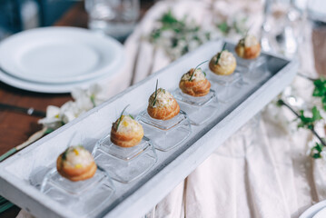 Elegant Canapes on Modern Serving Tray