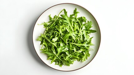 Fresh arugula salad on white plate – healthy and delicious green leafs
