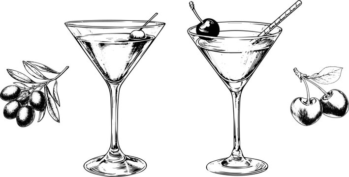 Vintage Martini with olive and cherry and Cocktail Sketch. Vector Illustration of Alcoholic Drinks Set.