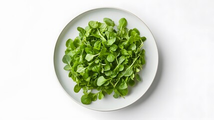 Fresh arugula leaves on a plate: top view of vibrant green salad greens