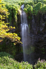 Amazing Waterfall on the Island of La Reunion, France