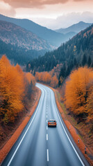 Autumn Road
