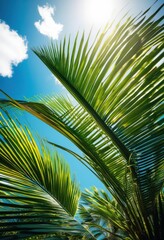 Fototapeta premium lush green palm fronds vibrant bright blue sky creating tropical paradise atmosphere, leaf, nature, foliage, exotic, landscape, summer, sunlight, botanical