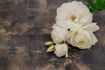  Photo of growing herbs in the garden