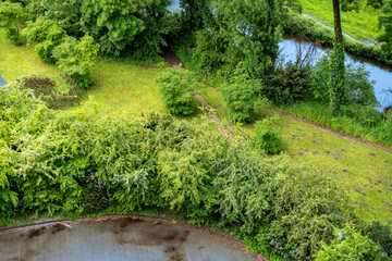 Fototapeta premium Aerial View of a Lush Green Garden with Stream