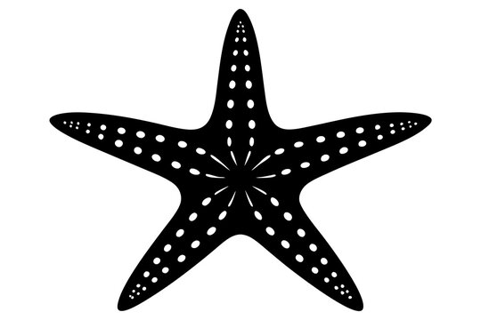 recommend clip art: Black silhouette of a starfish on an isolated background.Vector illustration.