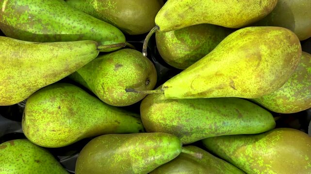 Abate Fetel pears, green, greenish-brown fruit skin spotted. Tracking shot in top view on pears arranged on the counter by the greengrocer