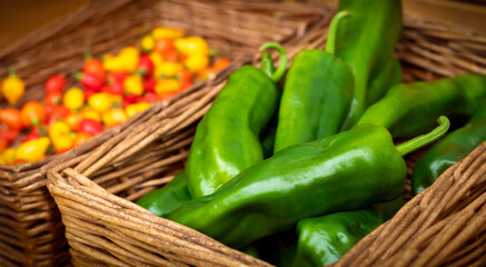 Spicy peppers - Anaheim peppers (a mild Californian chili pepper measuring 500-2,500 Scoville heat units) next to biquinho peppers in traditional wicker harvesting baskets.