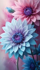 Obraz premium Closeup of a lush vibrant blue and pink dahlia floWER