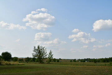 Naklejka premium Clouds Over Field