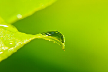 Wassertropfen