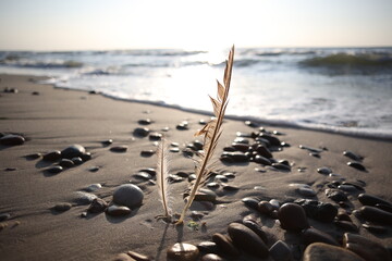 Morze zachód słońca piasek © Bluku