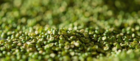 Green Buckwheat Scattered On The Surface Macro Shot