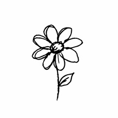 Hand-drawn flower with simple petals and a stem, artistic sketch design