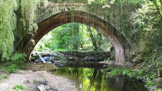 Mystery scene with an ancient bridge over a river in the forest with a reflection in the water, aerial view
