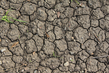 Abstract patterns in cracked desert soil