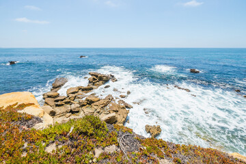 Beautiful landscape of Laguna Beach ocean coastline with palm trees in Treasure Island Park, Orange County, California, USA