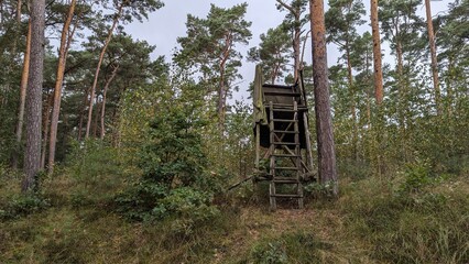Jagdstand im Kiefernwald für Jäger