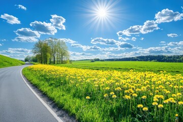 Sunny spring day in the countryside with asphalt road and beautiful nature