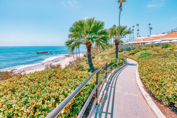 Beautiful landscape of Laguna Beach ocean coastline with palm trees in Treasure Island Park, Orange County, California, USA