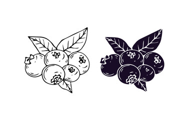 Linear sketch, silhouette, stamp of wild blueberries. Vector graphics.