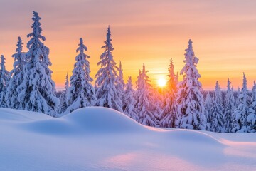 Winter sunset in Sotkamo Finland with snowy trees heavy snow in view