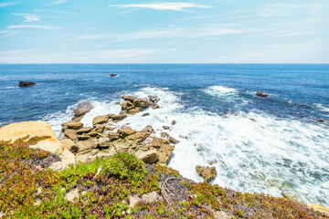 Beautiful landscape of Laguna Beach ocean coastline with palm trees in Treasure Island Park, Orange County, California, USA