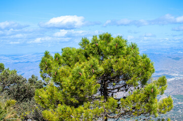 Panoramic view on Mediterranean sea and surrounding cities from Mijas peak, Andalusia, Malaga, Spain