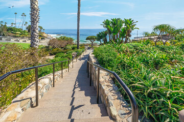 Beautiful landscape of Laguna Beach ocean coastline with palm trees in Treasure Island Park, Orange County, California, USA