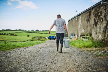 Farming, walking and man with bucket for milk production, livestock produce and dairy industry....