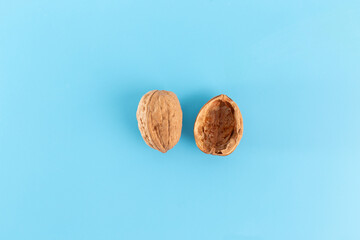 half of a walnut on a blue background, one intact outer shell and one hollow inner shell with meat...