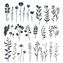 Hand-drawn Plant and Flower Shapes in a Childlike Style Collection