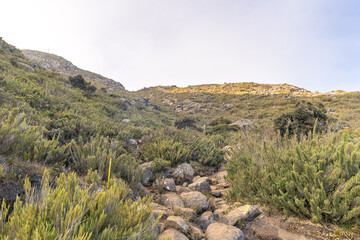 paisagem natural na cidade de Alto Caparaó, Estado de Minas Gerais, Brasil