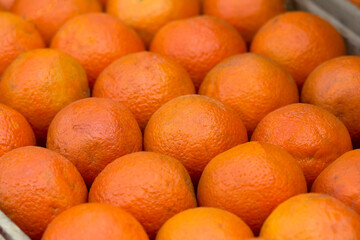 Delicious fruits and vegetables for a healthy diet. Oranges, Tangerines, Pears, Peppers, Red Apples, Green Apples, Cherry Tomatoes, Squashes.