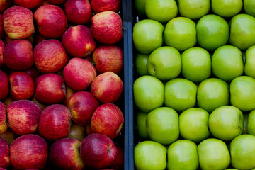 Delicious fruits and vegetables for a healthy diet. Oranges, Tangerines, Pears, Peppers, Red Apples, Green Apples, Cherry Tomatoes, Squashes.