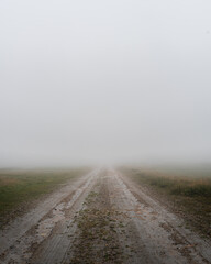 Foggy Road in a Misty Landscape
