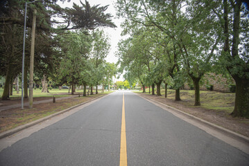 camino y arboles al costado de la calle 