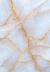 Naklejka premium Elegant marble texture with golden veins