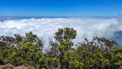 Obraz premium Beautiful view from the top of Mount Gede