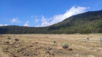 Alun alun surya kencana, Mount Gede Pangrango