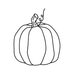 Vector hand drawn line Pumpkin. Template of Autumn pumpkin for your designs